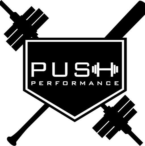 PUSH Performance logo