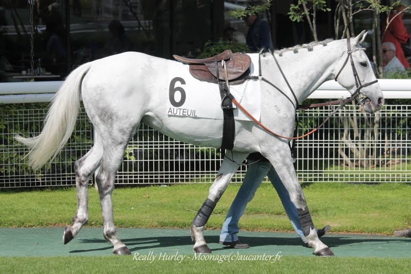 Photos Auteuil 22-05-2015 IMG_0913