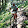 Rodney Korte Rodney Korte's profile photo