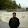 Steve Wong Steve Wong's profile photo