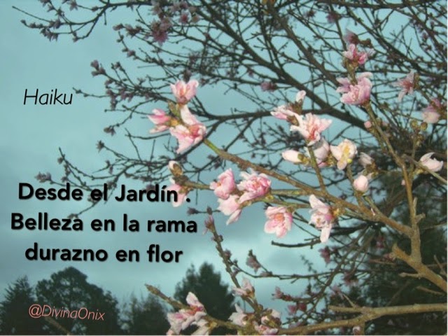 El Haiku como estilo de vida : Durazno en flor