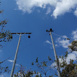 Powerlines near top of Wobby track (205813)