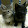 M.K. Lutz M.K. Lutz's profile photo