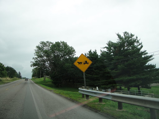 DSC07280.JPG