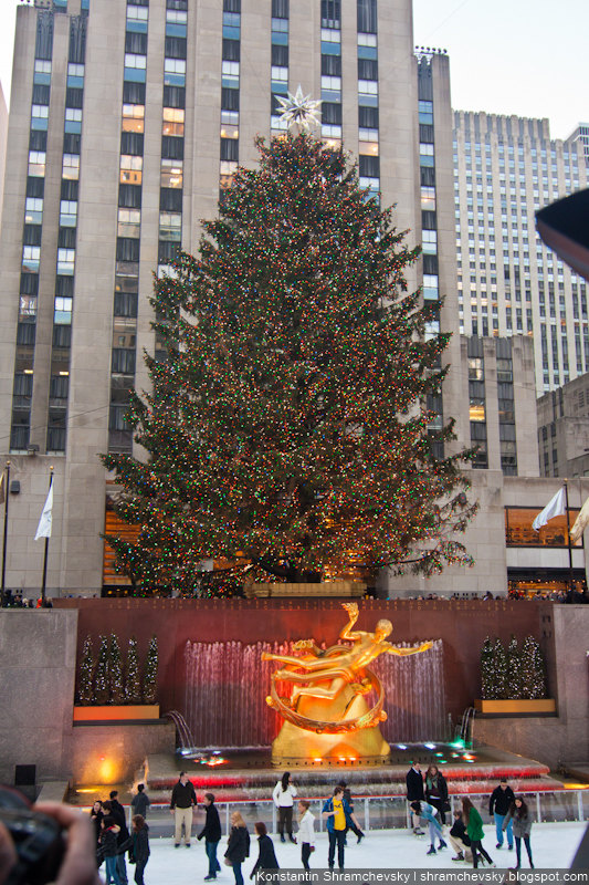 USA New York City Christmas Rockefeller center Tree США Нью Йорк Город Рождество Рокфеллер Центр Елка