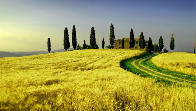 Cover photo