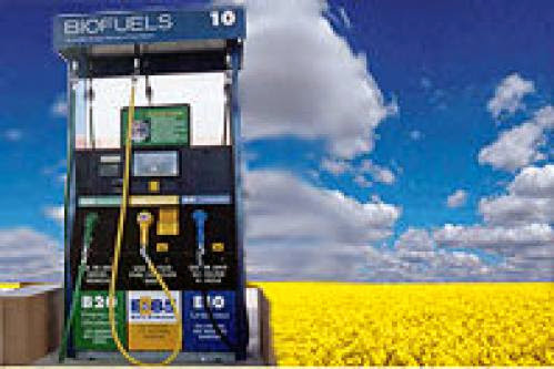 Biodiesel Yields Even Higher Energy Balance