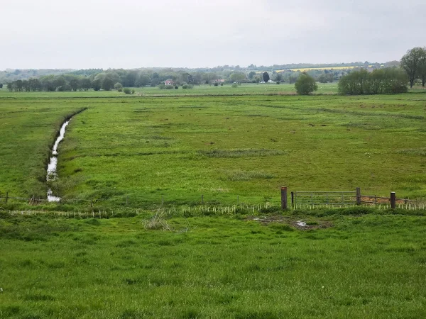 Shipmeadow marshes