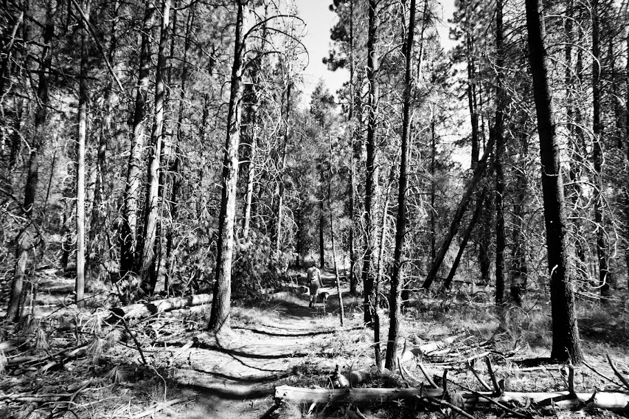 IMAGE: https://lh4.googleusercontent.com/-Y-mAxSrWByA/TkVBbeBJkII/AAAAAAAAD0Q/2O_yJDMNgOk/s912/IMG_1215.jpg