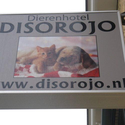 Dierenhotel Disorojo