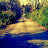 chris mills avatar image