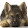 Gerhard Spicker - Auto, Motorrad, Oldtimer Gerhard Spicker - Auto, Motorrad, Oldtimer's profile photo