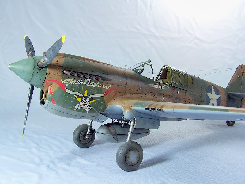 P-40E hasegawa 100_5324