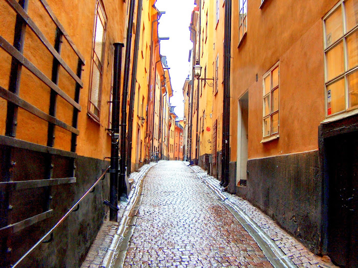 Estocolmo y Tallin 2014 - Blogs de Suecia - Día 2. Gamla Stan (1)