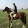 sasan ehteshami sasan ehteshami's profile photo