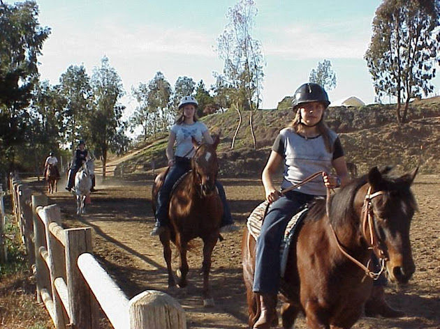 Cover photo