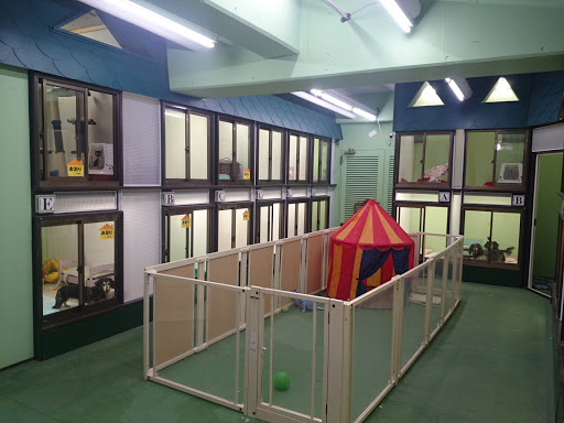 ZOO Yotsuya