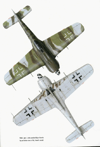 FINALIZADO 24/6 - Focke Wulf Fw 190 A-8 Tamiya 1:48 Focke2