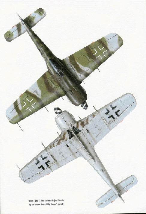 FINALIZADO 24/6 - Focke Wulf Fw 190 A-8 Tamiya 1:48 Focke2