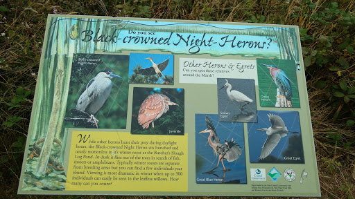 Bird Watching Area «Arcata Marsh Interpretive Center», reviews and photos, 569 S G St, Arcata, CA 95521, USA