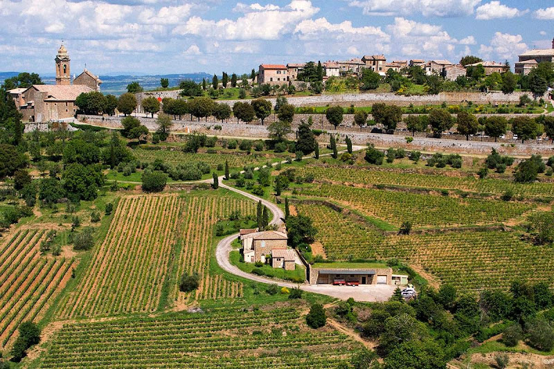 Immagine principale di Azienda vitivinicola TIezzi