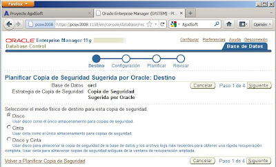 Copia de seguridad física en línea con RMAN en Oracle 11g con ARCHIVELOG activado