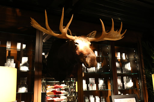 Abercrombie & Fitch