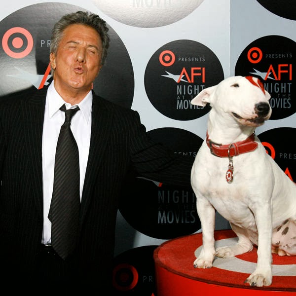 Dustin Hoffman reacts next to Bullseye, a department store's mascot, at the AFI Night at the Movies event at the Arclight theatre in Hollywood, California.