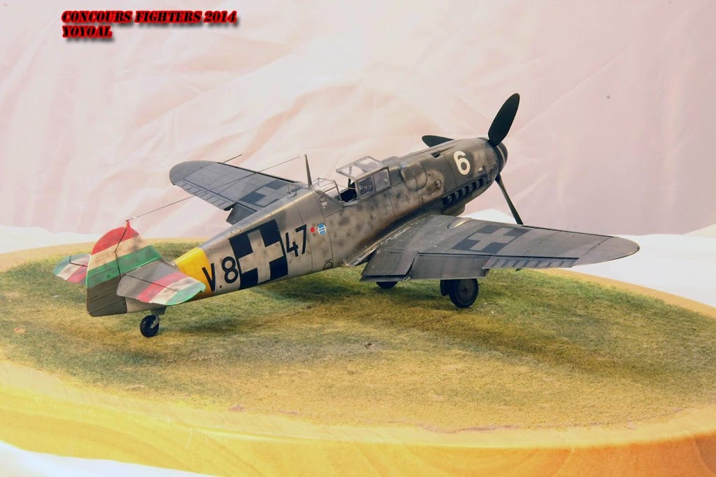 [ Concours avions allemands WWII ] - Me-109 G6 au 1/48° de chez Eduard - Page 4 IMG_1177%2520copie