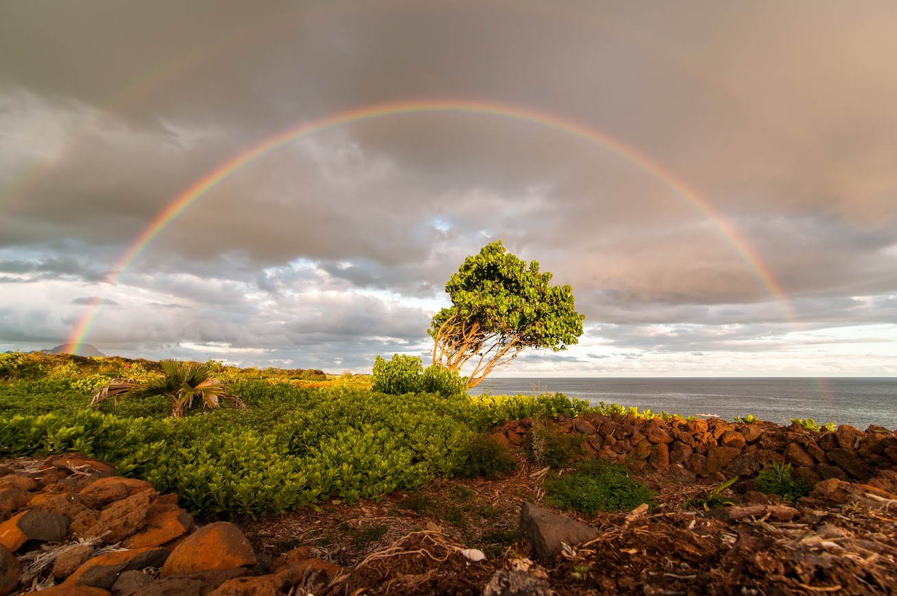 Kauai: Poipu - Hawaii: 3 islas en dos semanas (13)
