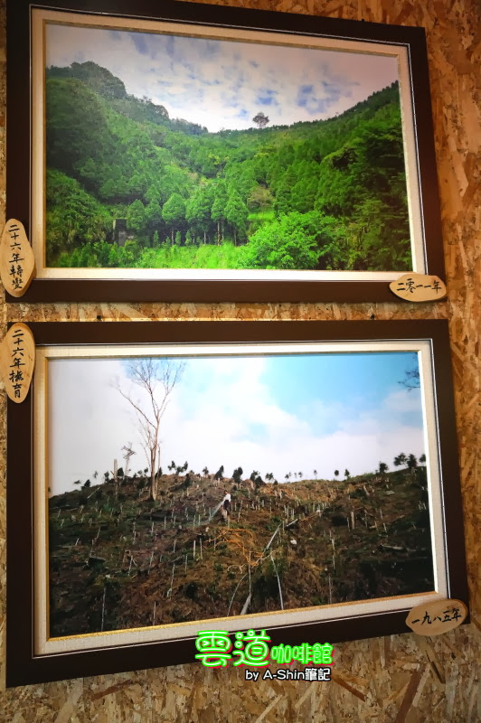 雲道咖啡館|賴桑用26年種下的無限希望，雲道咖啡館的誕生。