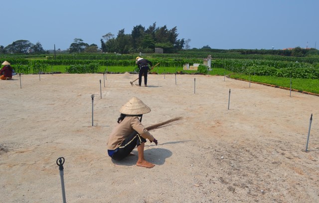 Hạn hán kéo dài, dân đảo Lý Sơn lo cho mùa tỏi mới 3 Bà con nông dân huyện đảo Lý Sơn rất lo lắng, đang làm ruộng chuẩn bị xuống giống cho mùa tỏi sắp tới