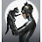 Shelley Willis avatar image