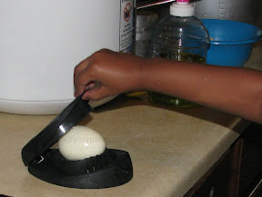 Egg slicer Gadget