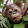 Didier Ruidant Didier Ruidant's profile photo