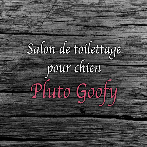 Salon De Toilettage Pluto Goofy logo