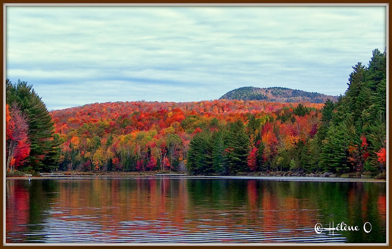 Paysages d'automne au Québec PA058106
