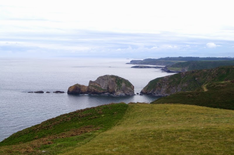 Senda Costera: Faro de San Juan-Cabo Peñas - Descubriendo Asturias (16)