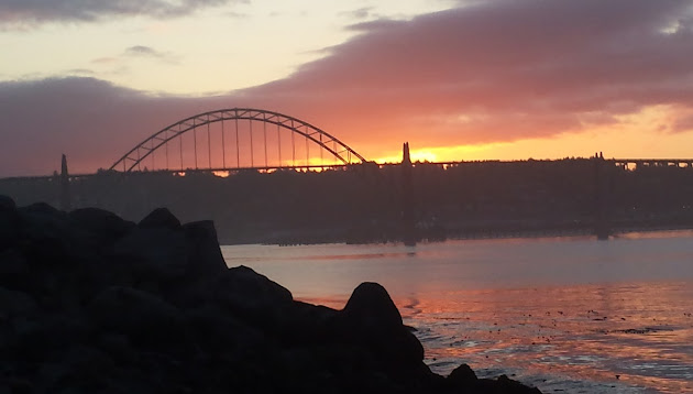 Cover photo