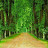 ricardo vicente avatar image