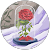 Rosa Conde Rosa Conde