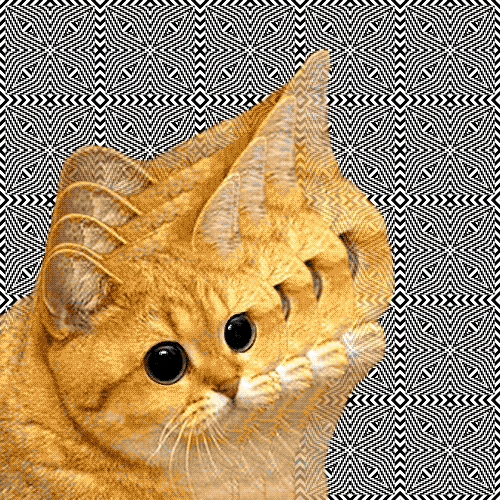 Hypnotic Psychedelic Cat Illusion