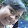 roslinda azzahro roslinda azzahro's profile photo