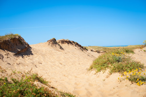 Camping Les Cyprès