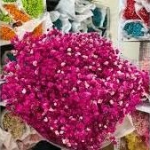 Cửa Hàng Nội Thất Gỗ Cũ Xưa Lâm Hải Quảng