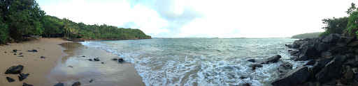 Jungle Beach