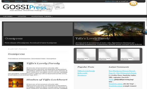 Free Black White Gray Jquery WordPress Theme Free Black White Gray Jquery WordPress Theme