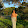 Nandini Kathuria Nandini Kathuria's profile photo