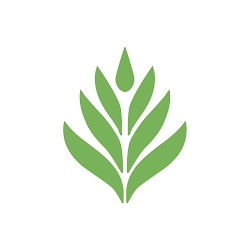 Rainforestflora - logo