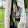 Michele LISA Michele LISA's profile photo